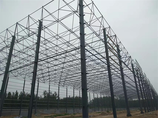 聊城新天地物流仓库