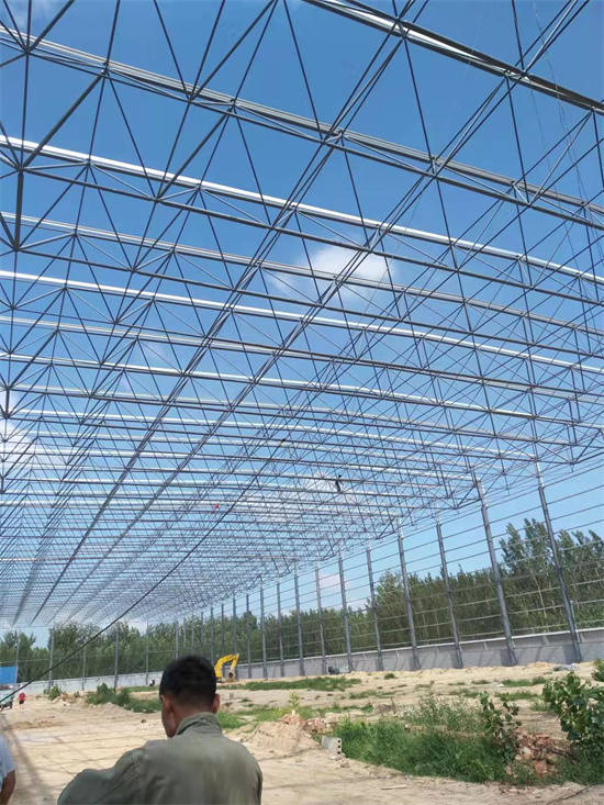 聊城新天地物流仓库